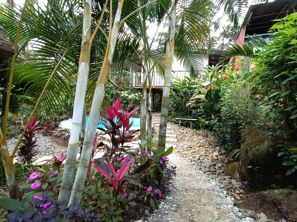 Cabaña Vista Río Celeste Exterior foto